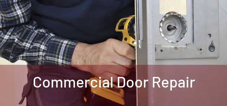 Commercial Door Repair