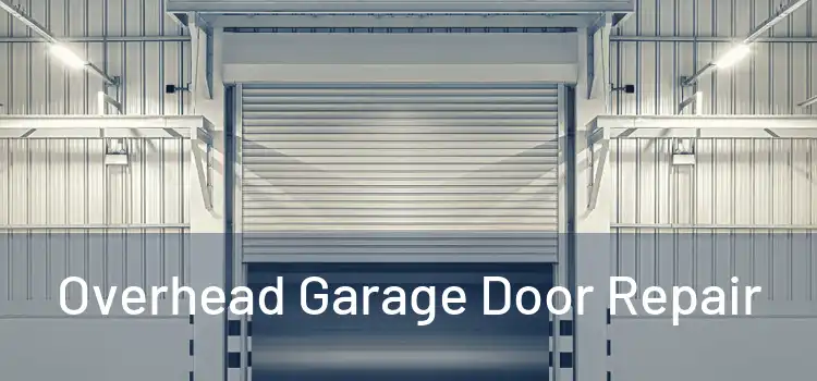  Overhead Garage Door Repair 